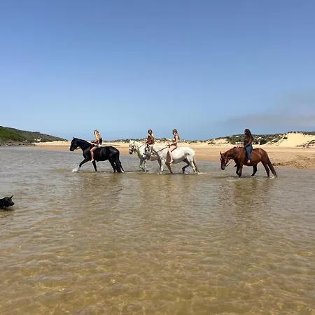Casa vacanze Casinha Ninho Da Mae