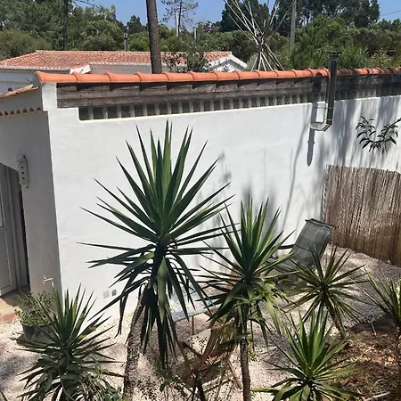 Holiday home Casinha Ninho Da Mae *