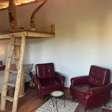 Casinha Ninho Da Mae Rogil