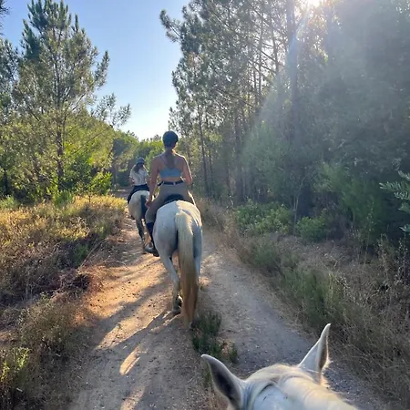 Casinha Ninho Da Mae Holiday home