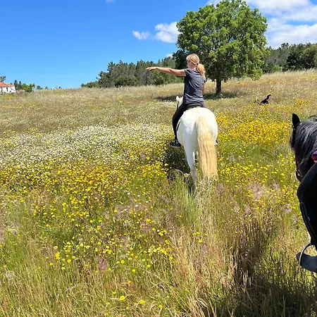 Holiday home Casinha Ninho Da Mae Rogil