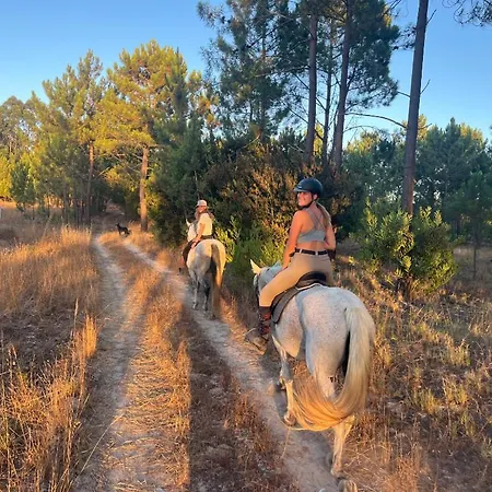 Casinha Ninho Da Mae Vakantiehuis