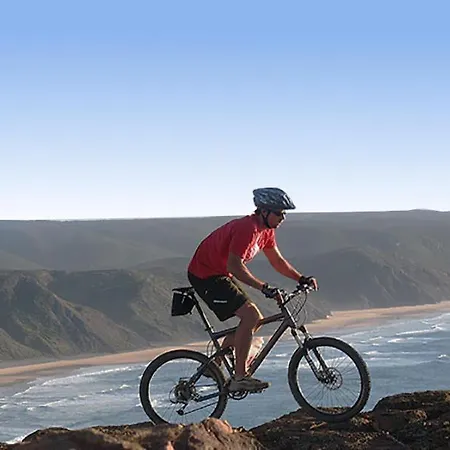 Casinha Ninho Da Mae Rogil