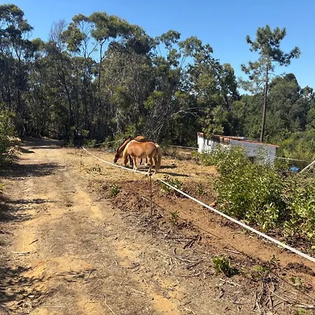 Ferienhaus Casinha Ninho Da Mae *
