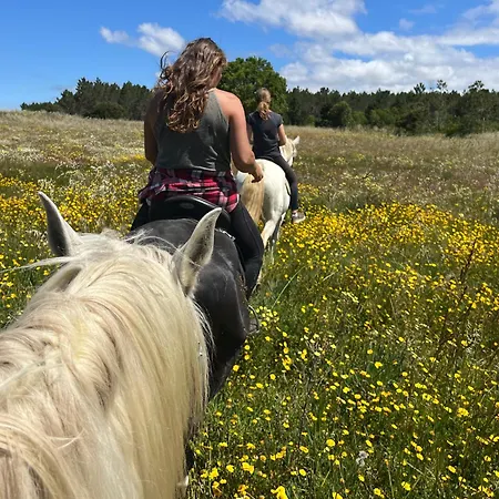 Casinha Ninho Da Mae Rogil